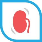 icon-bladder
